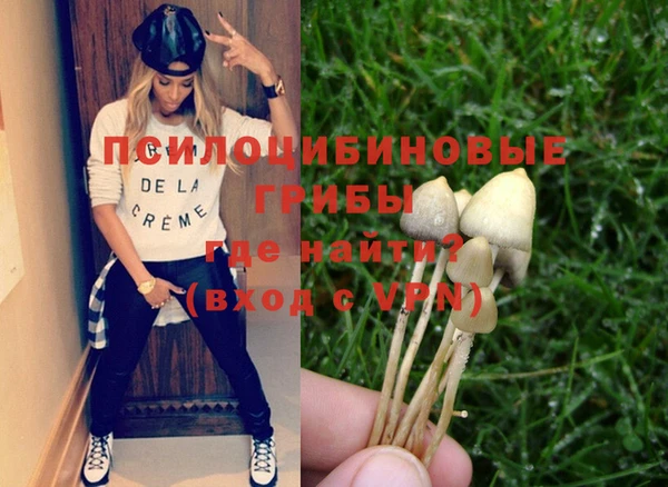 мдпв Покачи