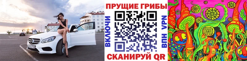 Галлюциногенные грибы Cubensis  Сланцы 