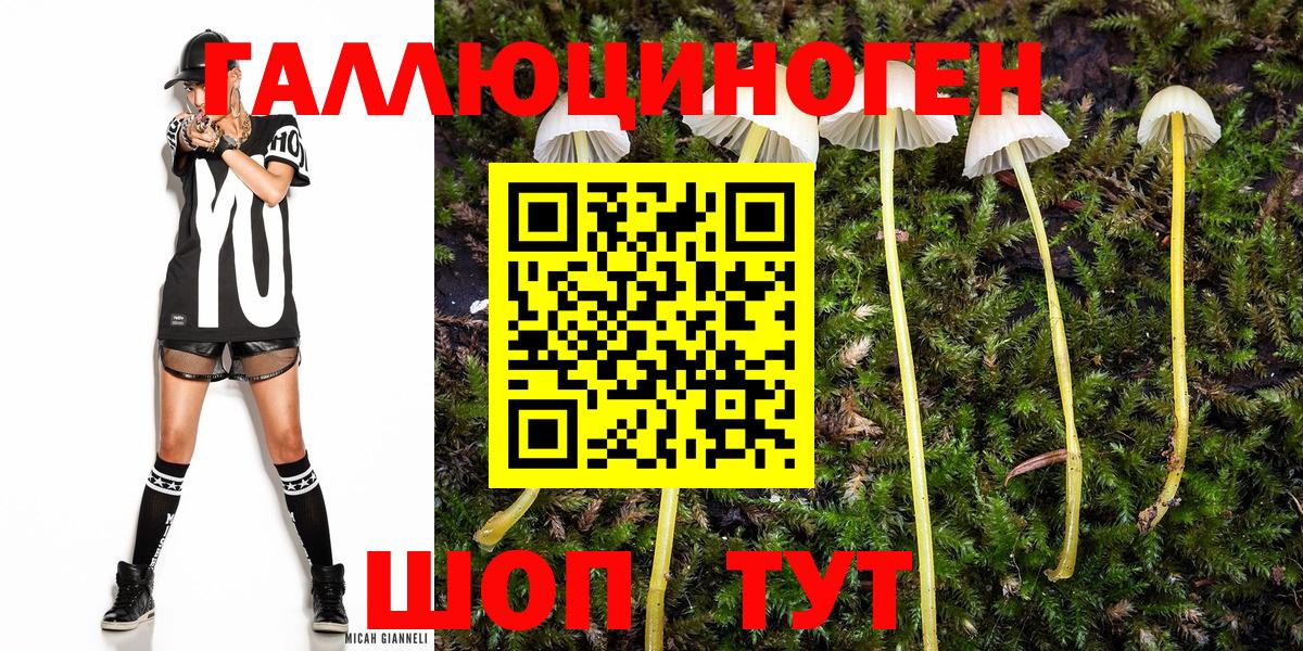 Галлюциногенные грибы прущие грибы  как найти   Сланцы  Вход с VPN  Галлюциногенные грибы Psilocybine cubensis 