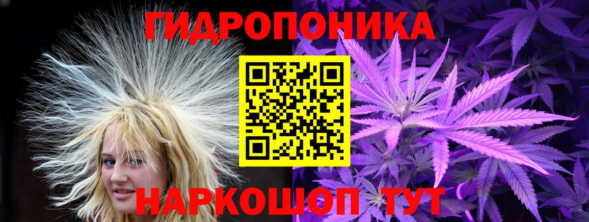 Конопля гибрид  Бошки марихуана MAZAR  Сланцы  Конопля тримм  Вход с VPN  Конопля LSD WEED 